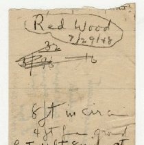 1976.1.a009.03.04.p01 Giant Sequoia Measurements1948