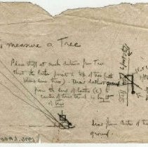 1976.1.a009.03.15 Note And Illustration For Tree Measurement Undated