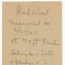 1976.1.a009.03.16 Giant Sequoia Measurements 1960