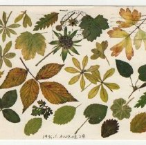 1976.1.a009.03.29 Marie Newton Postcard Front 1979 Enh