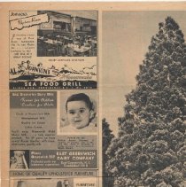 1976.1.a009.03.06a Providence Journal Giant Sequoia image1948