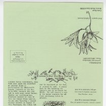 1976.1.a009.06nc.01.p04 Blithewold Newsletter Summer 1985