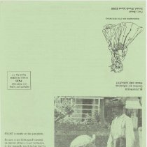 1976.1.a009.06nc.02.p04 Blithewold Newsletter Fall 1985