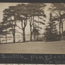 2020.2.jcp001.027.01