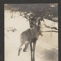 2020.2.jcp001.028.01