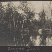 2020.2.jcp001.030.01