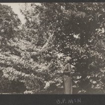 2020.2.jcp001.034.04