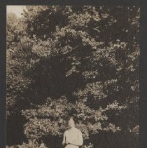 2020.2.jcp001.042.01