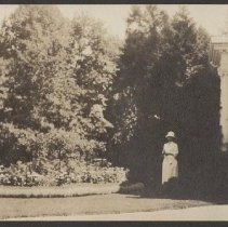 2020.2.jcp001.046.02