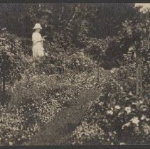 2020.2.jcp001.046.03