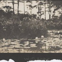 2020.2.jcp001.050.06