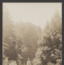 2020.2.jcp001.053.02