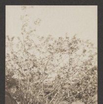 2020.2.jcp001.053.03