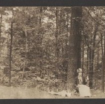 2020.2.jcp001.054.05