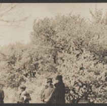 2020.2.jcp001.057.01