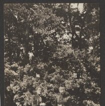 2020.2.jcp001.060.07