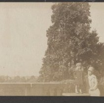 2020.2.jcp001.061.06