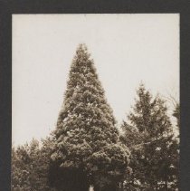 2020.2.jcp001.068.01