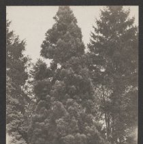 2020.2.jcp001.068.02