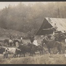 2020.2.jcp001.012.04