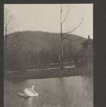 2020.2.jcp001.013.01