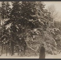 2020.2.jcp001.078.01