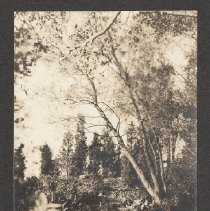 2020.2.jcp001.079.05