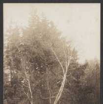 2020.2.jcp001.080.01