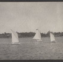 2020.2.jcp001.015.03