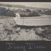 2020.2.jcp001.018.01