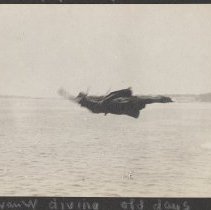 2020.2.jcp001.024.04