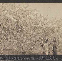 2020.2.jcp001.026.02