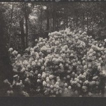 2020.2.jcp001.026.03