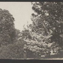 2020.2.jcp001.026.04