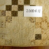 Pieced & Appliqued Quilt