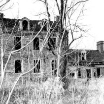 Negative, Glass-plate