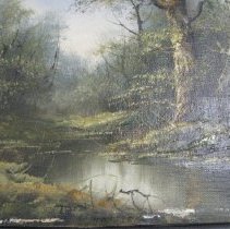 A Woodland Scene