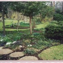 Mary Woodward's Garden