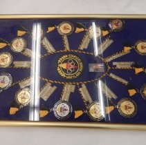 Maryland Senior Olympics medals