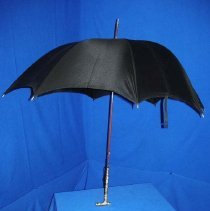 Umbrella