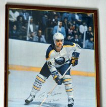 Danny Gare Photograph