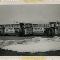 Nelson advertising buses