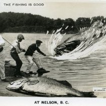 Fishing Postcard