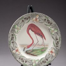 U.15d Audubon Plate: American Flamingo