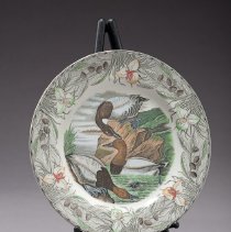 U.15h Audubon Plate: Canvas Back Duck