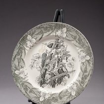 U.15n Audubon Plate: Pileated Woodpecker B&W