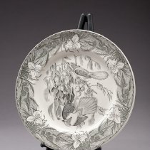 U.15o Audubon Plate: Florida Jay B&W