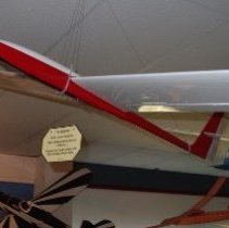 The Gobbler RC Sailplane