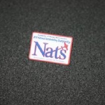 2010 Nats Lapel Pin