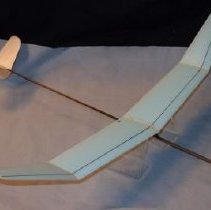 Amalgam 6.0 FF Model Glider